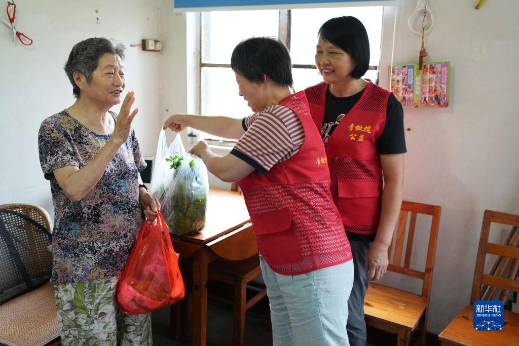 摇钱树app官网下载
